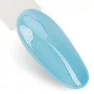 NTN Premium UV/LED 313# (HEMA Free)