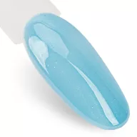 NTN Premium UV/LED 313# (HEMA Free)