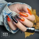 NTN Premium UV/LED Géllakk 142# neon narancs HEMA Free