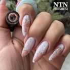 NTN Premium UV/LED Géllakk 63# (HEMA Free) - Day Dreaming kollekció