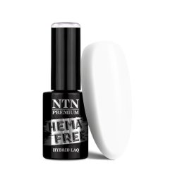 NTN Premium UV/LED 123# (HEMA Free)