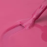 NTN Premium UV/LED 21#