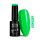 NTN Premium UV/LED Géllakk 146#