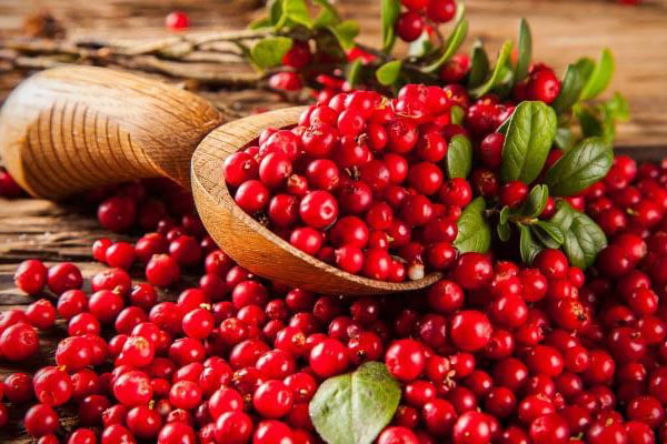 Kéz- és Körömápoló Krém Vörösáfonyával és Árnikával – antioxidáns vegán kézápoló irritált bőrre