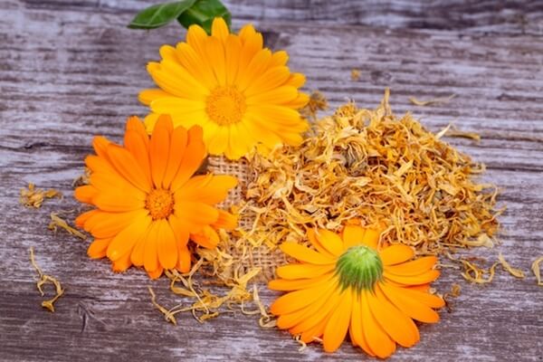 körömvirágos gyógynövényes kenőcs 